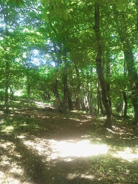 2017-05-20 13.46.50.jpg